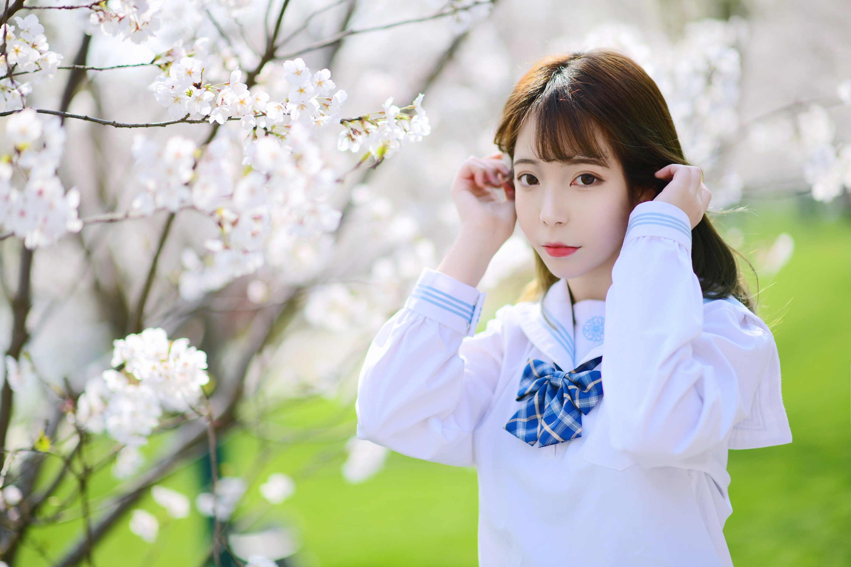 图片[1]-Fushii海堂 – NO.009 樱花树下[41P]-XikXak